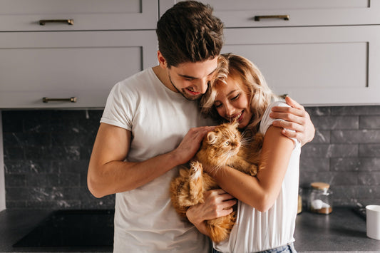 National Pet Month: A Cat Parent’s Guide to Making May Magical