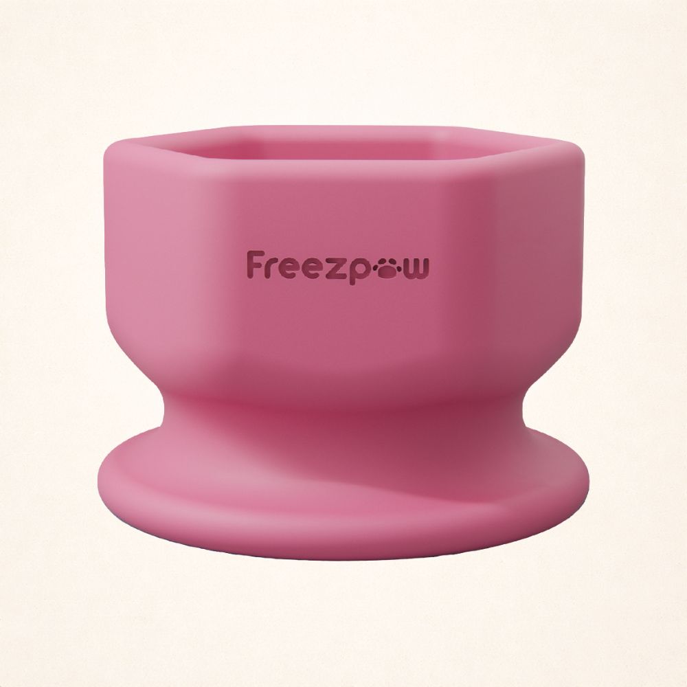 AUCTION ONLY - FreezSip Cat Fun Toy