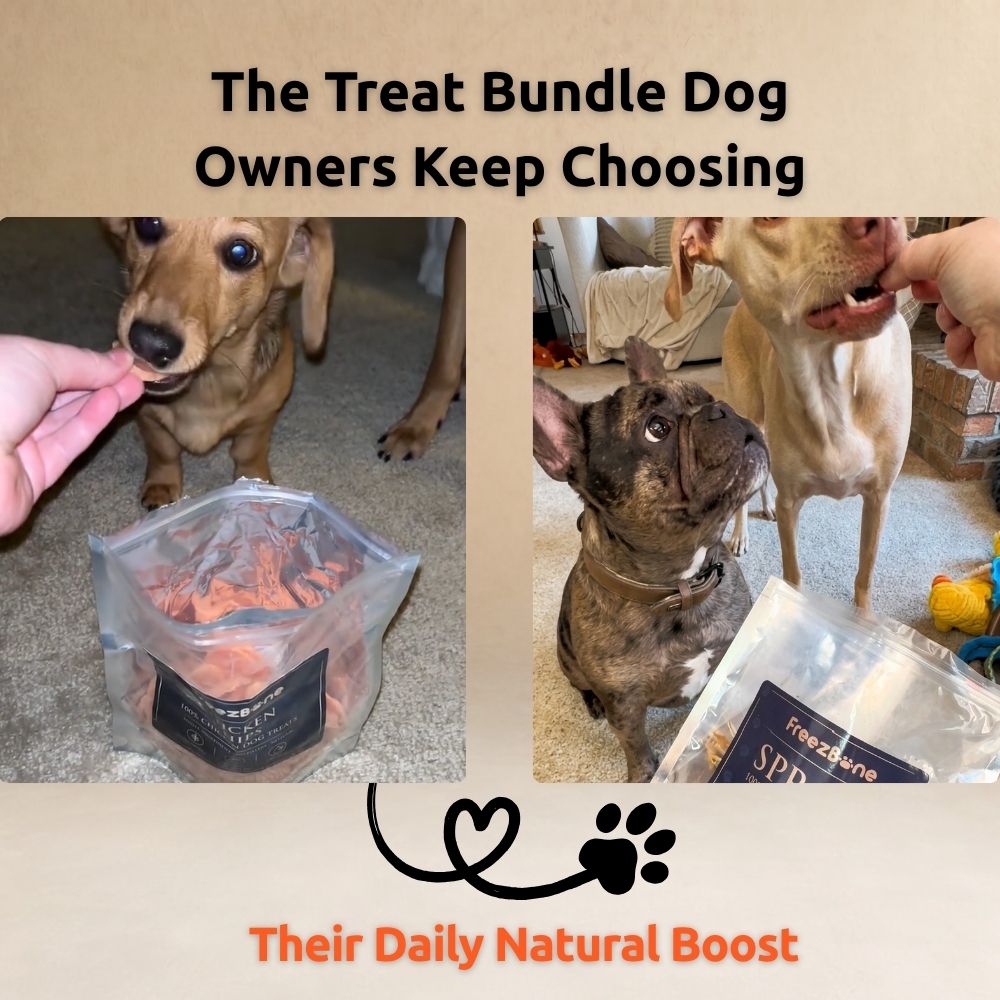 Freezbone Ultimate Dog Treat Bundle ā 5 All-Natural Fish & Chicken Treats (Value Size)