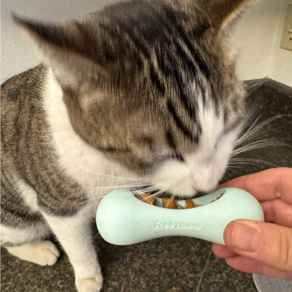 FreezWhisk Cat Slow Feeding Toy