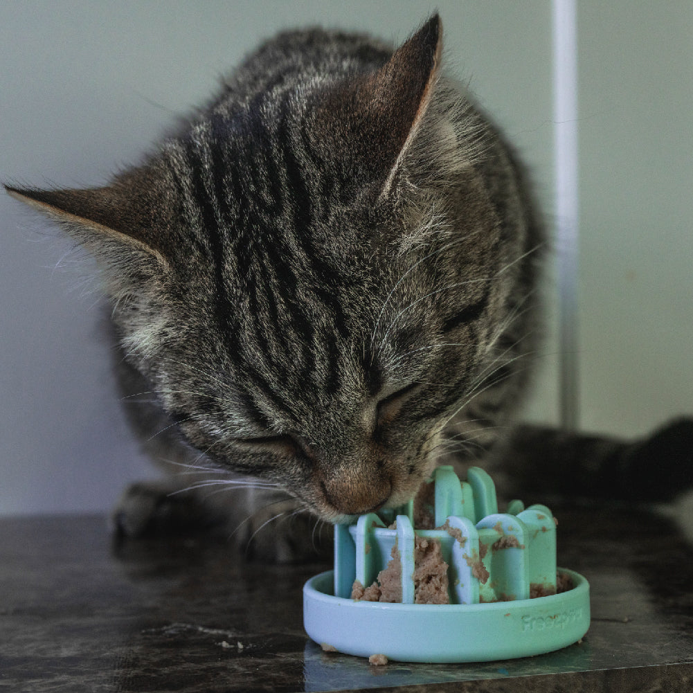 FreezDrip Cat Slow Feeder Toy