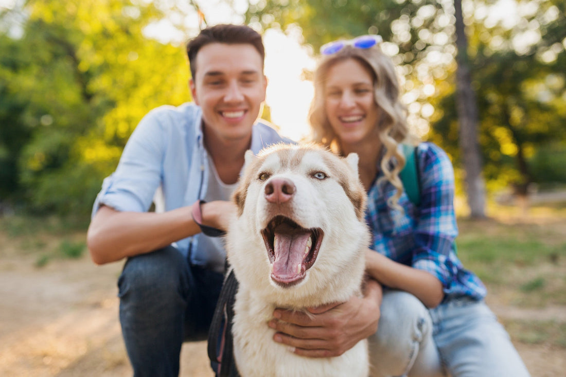 May Is for the Dogs: 4 Ways to Celebrate Your Pup All Month Long