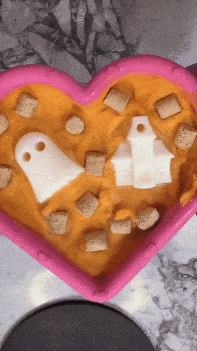 5 Ways to Include Your Dog in Trick-or-Treating Fun