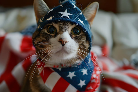 Tails of Honor: Stories of Feline Heroes