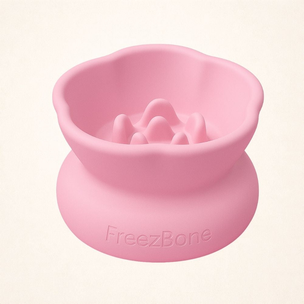 AUCTION ONLY - Freezflower Cup -  Frozen Treat Cup for Calm, Happy Dogs