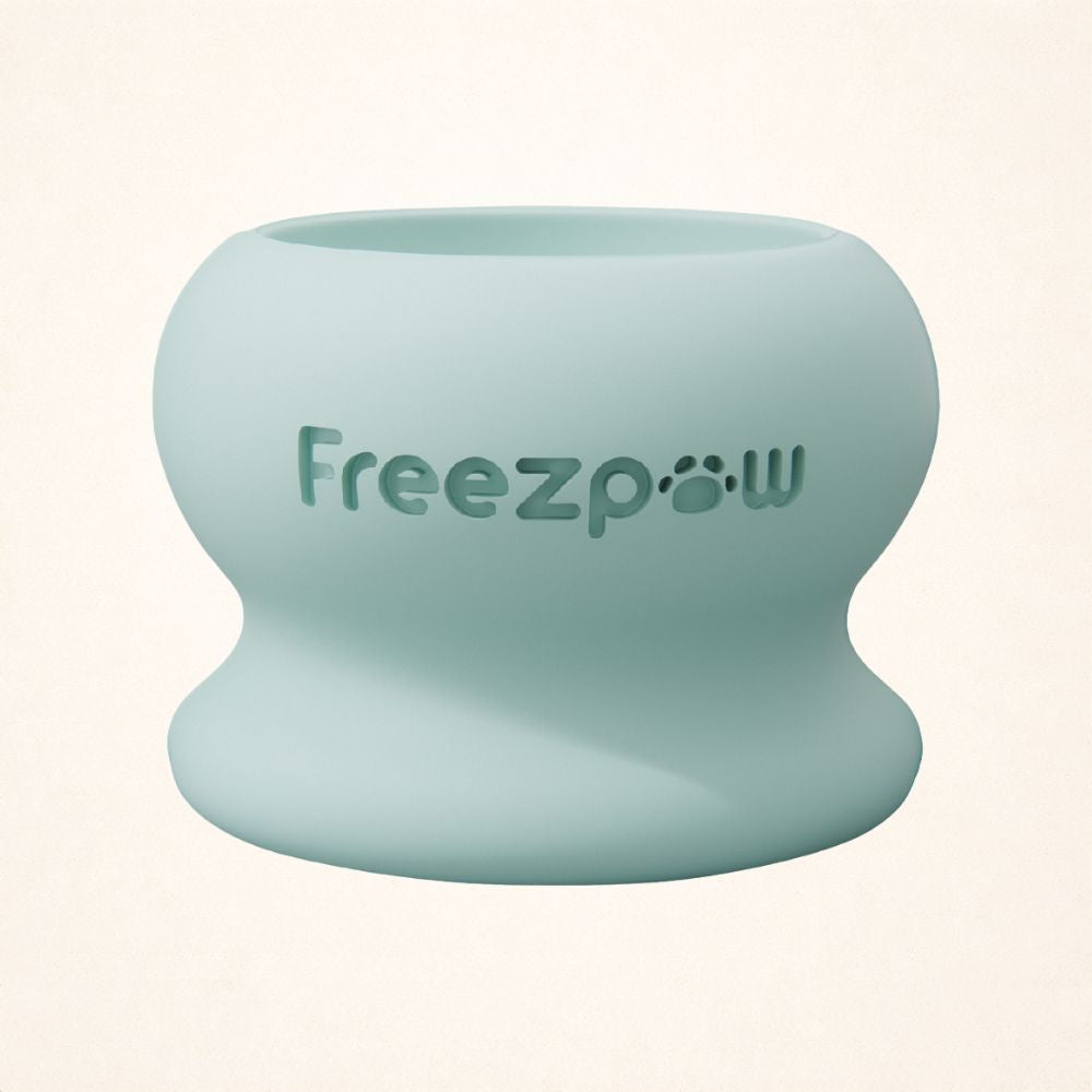 AUCTION ONLY - FreezPounce Cat Durable Fillable