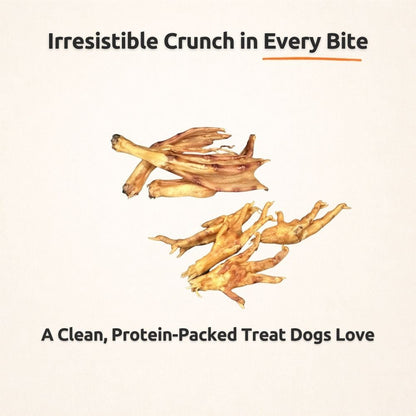 Crunchy Feet Bundle - Whole Dental Treats for Dogs - Human Grade - Single Ingredient