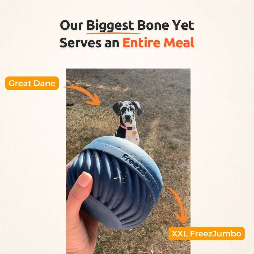 AUCTION ONLY -  FreezJumbo™ – Our Biggest & Toughest Enrichment Toy Ever