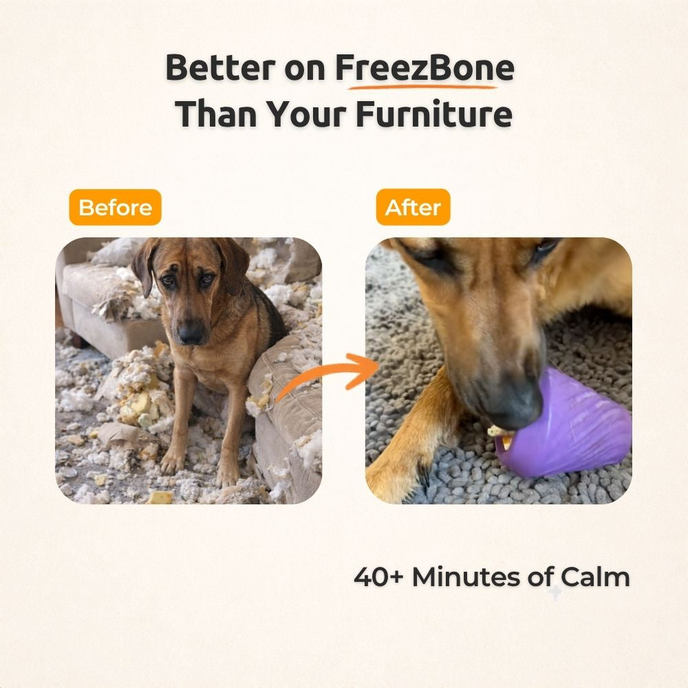 AUCTION ONLY - FreezCone – The Ice-Cream–Shaped Enrichment Dogs