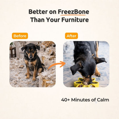 FreezFlower - Long-Lasting Frozen Flower Dog Treat Toy