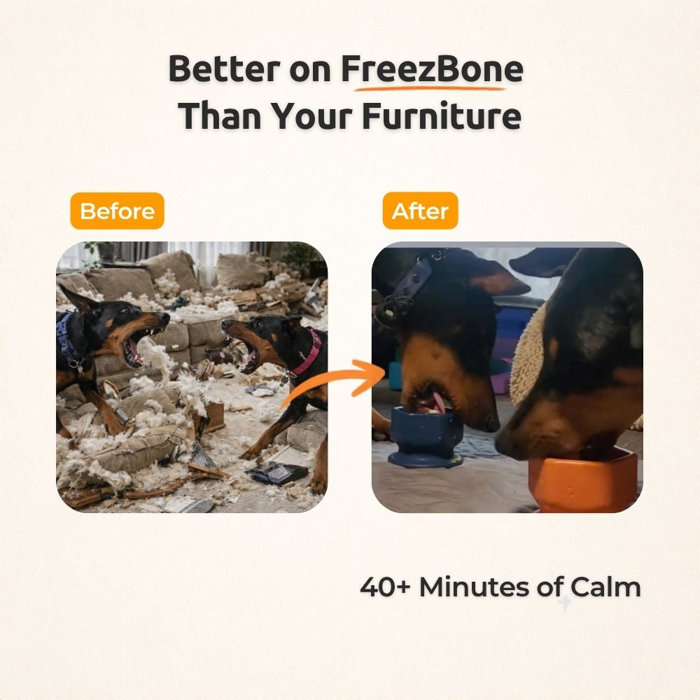 AUCTION ONLY - FreezCup - Long-Lasting Chew Fun