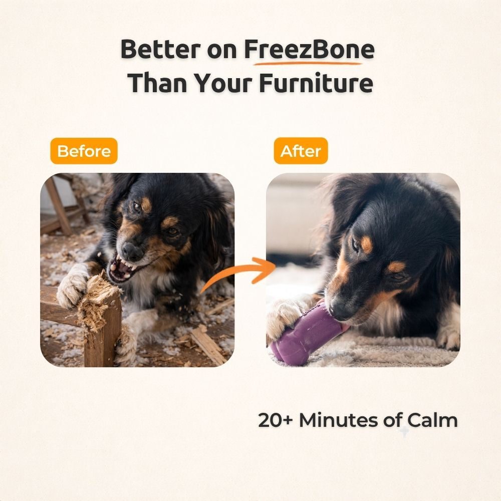 Freezbone