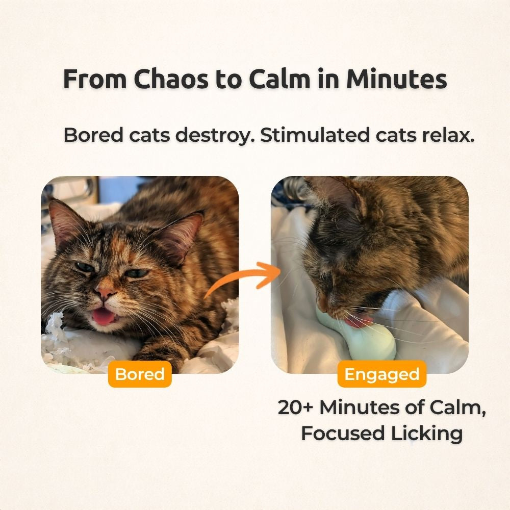 AUCTION ONLY - FreezWhisk Cat Calm Feed Bowl