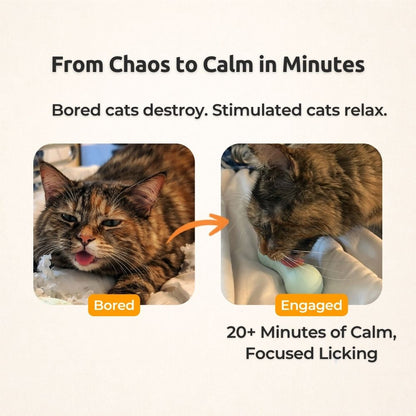 AUCTION ONLY - FreezWhisk Cat Calm Feed Bowl
