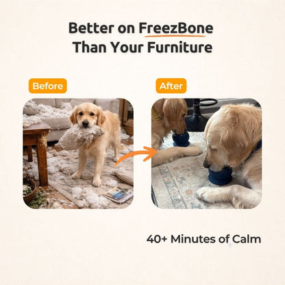AUCTION ONLY - FreezWheel - Durable Interactive Chew