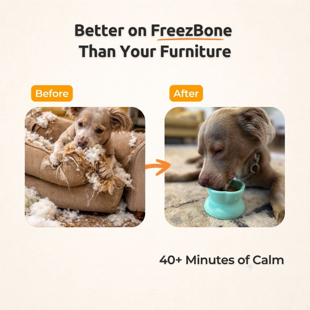 AUCTION ONLY - Freezflower Cup -  Frozen Treat Cup for Calm, Happy Dogs
