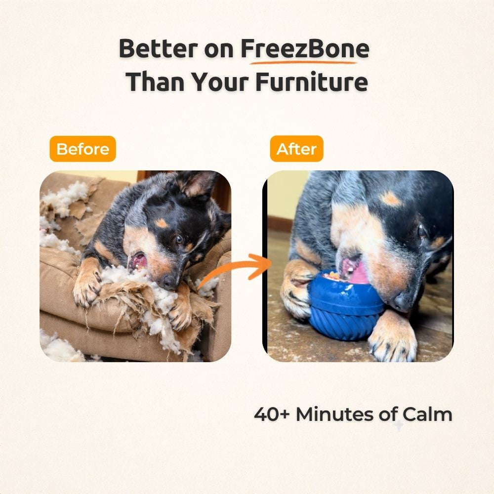 AUCTION ONLY -  FreezJumbo™ – Our Biggest & Toughest Enrichment Toy Ever