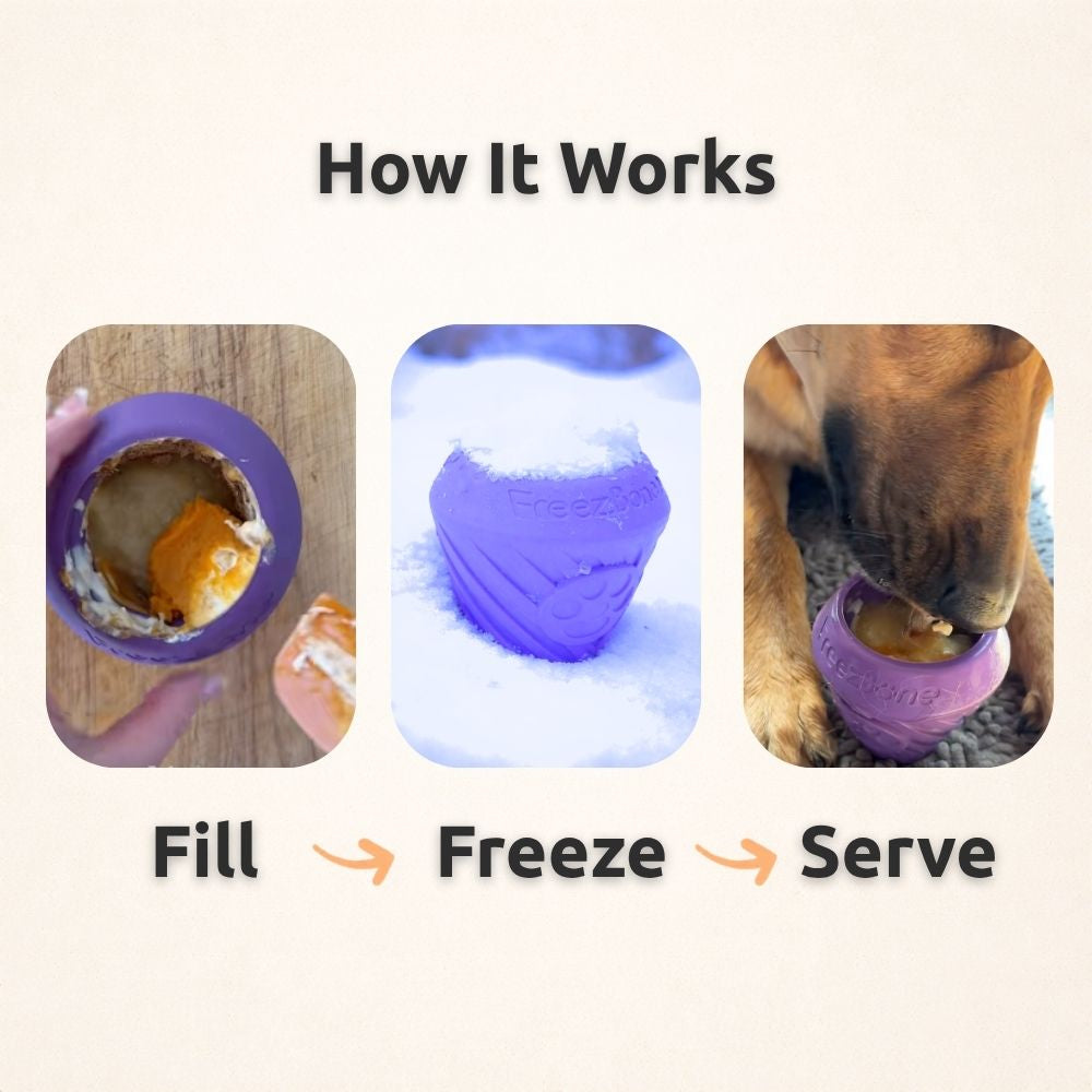 AUCTION ONLY - FreezCone – The Ice-Cream–Shaped Enrichment Dogs
