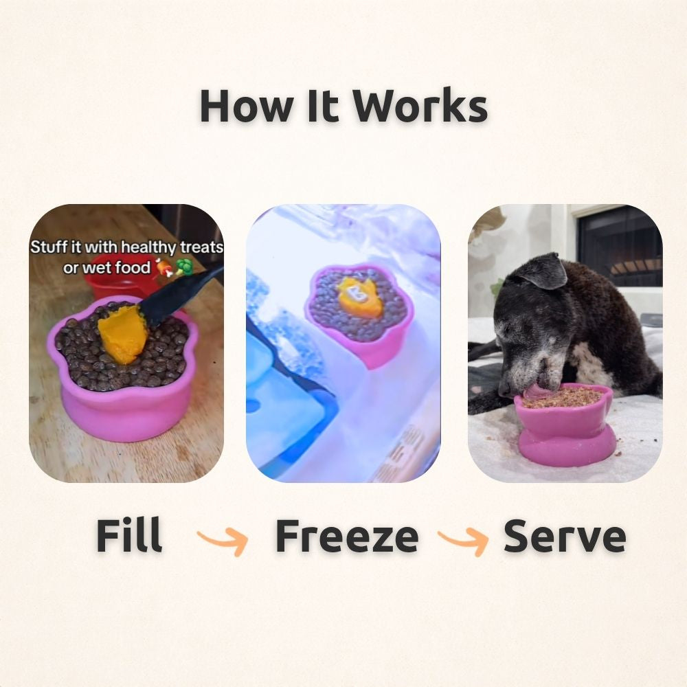AUCTION ONLY - Freezflower Cup -  Frozen Treat Cup for Calm, Happy Dogs