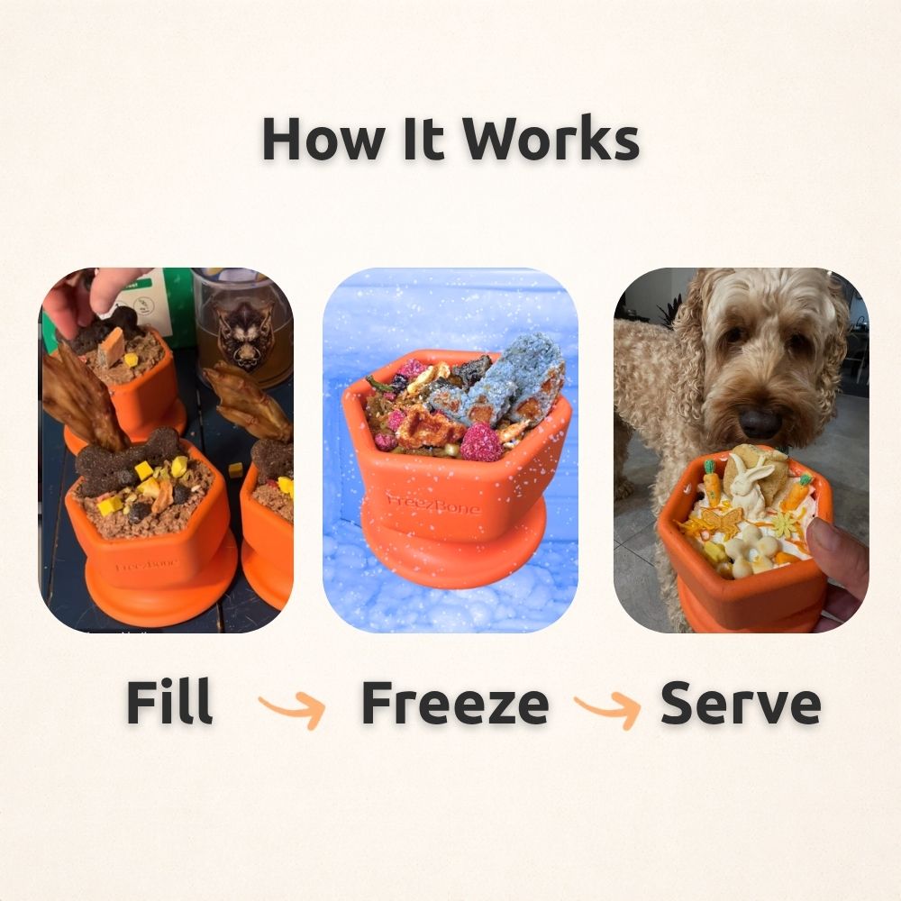 AUCTION ONLY - FreezCup - Long-Lasting Chew Fun
