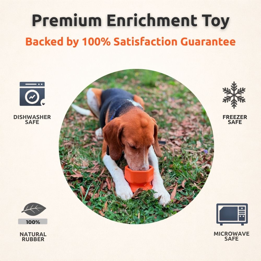 AUCTION ONLY - FreezCup - Long-Lasting Chew Fun