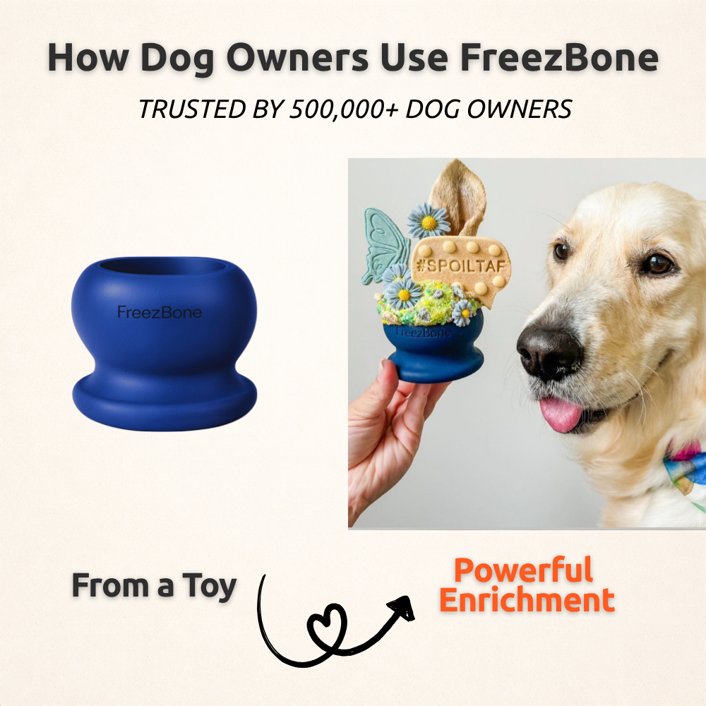 Freezball - AUCTION ONLY