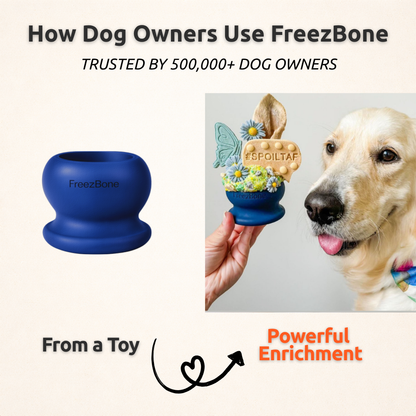 Freezball - AUCTION ONLY