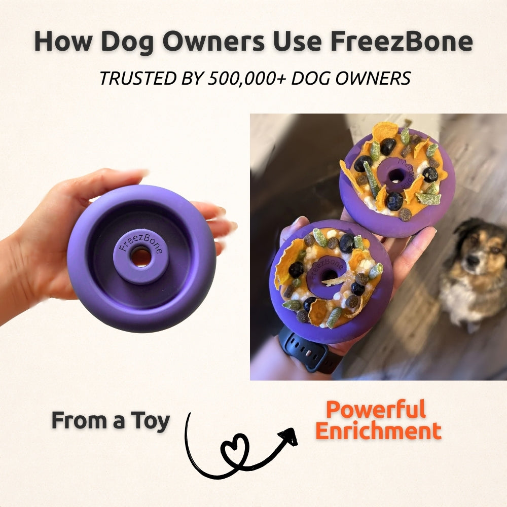 AUCTION ONLY - FreezDoughnut - Super Durable Treat Toy For Touch Chewers