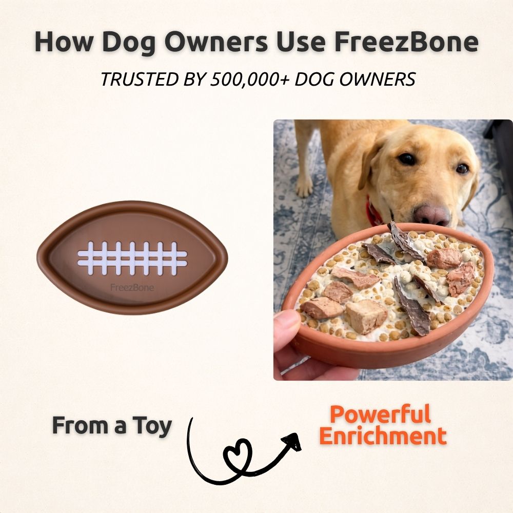 AUCTION ONLY - FreezFootball - Tough Enrichment Football Toy