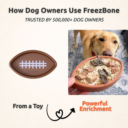 AUCTION ONLY - FreezFootball - Tough Enrichment Football Toy