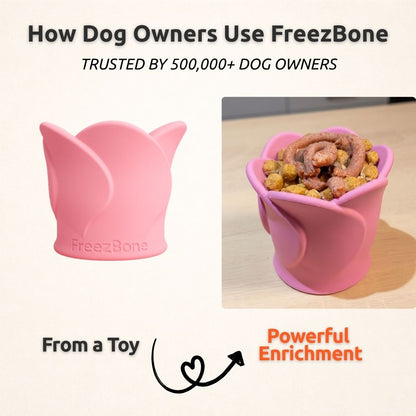 AUCTION ONLY - FREEZROSE – ROSE SHAPED - Frozen Dog Enrichment Toy