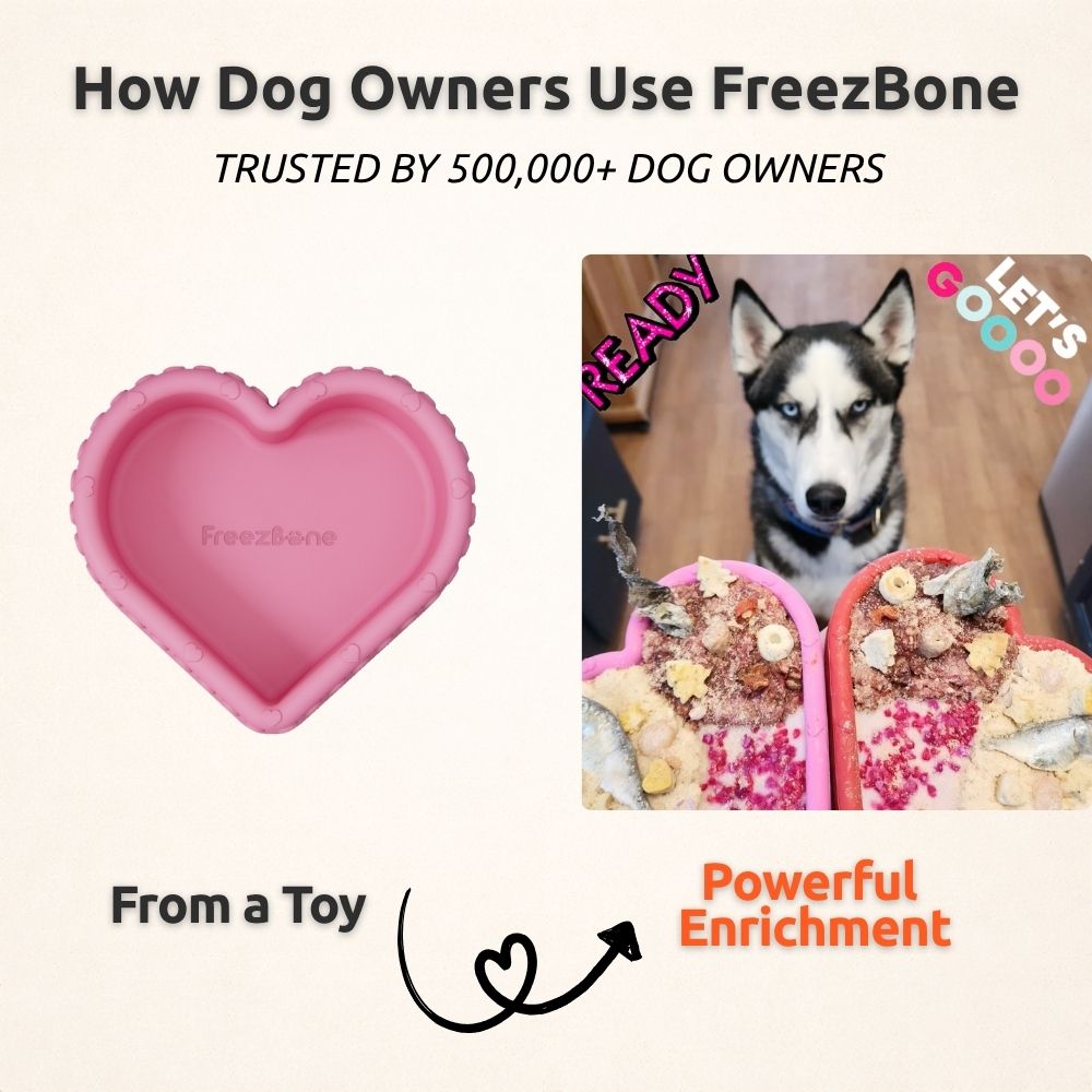 AUCTION ONLY - FreezHeart - Durable Heart Enrichment Chew