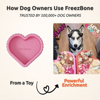 AUCTION ONLY - FreezHeart - Durable Heart Enrichment Chew