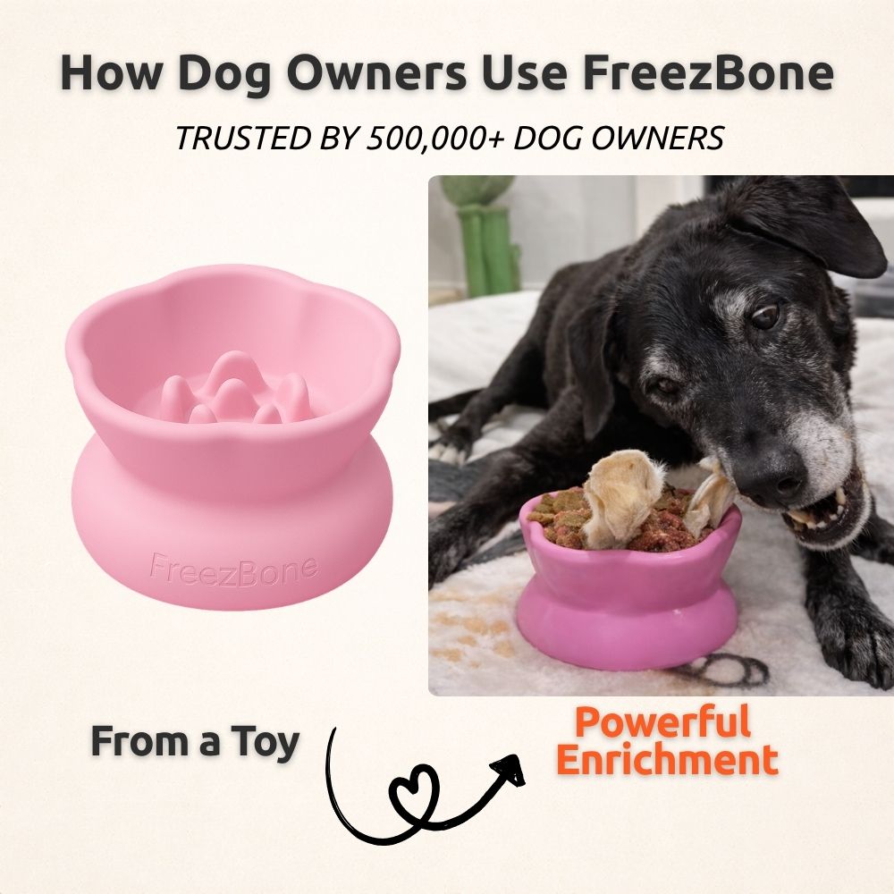 AUCTION ONLY - Freezflower Cup -  Frozen Treat Cup for Calm, Happy Dogs