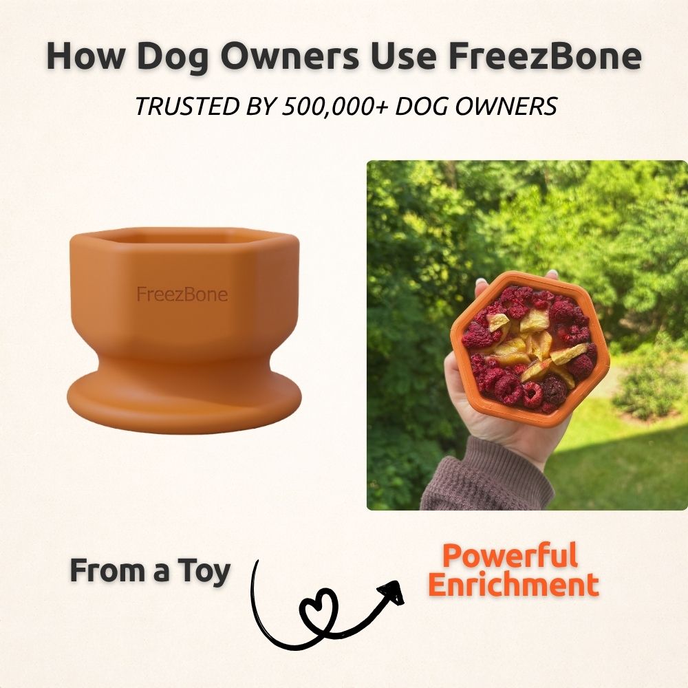 AUCTION ONLY - FreezCup - Long-Lasting Chew Fun