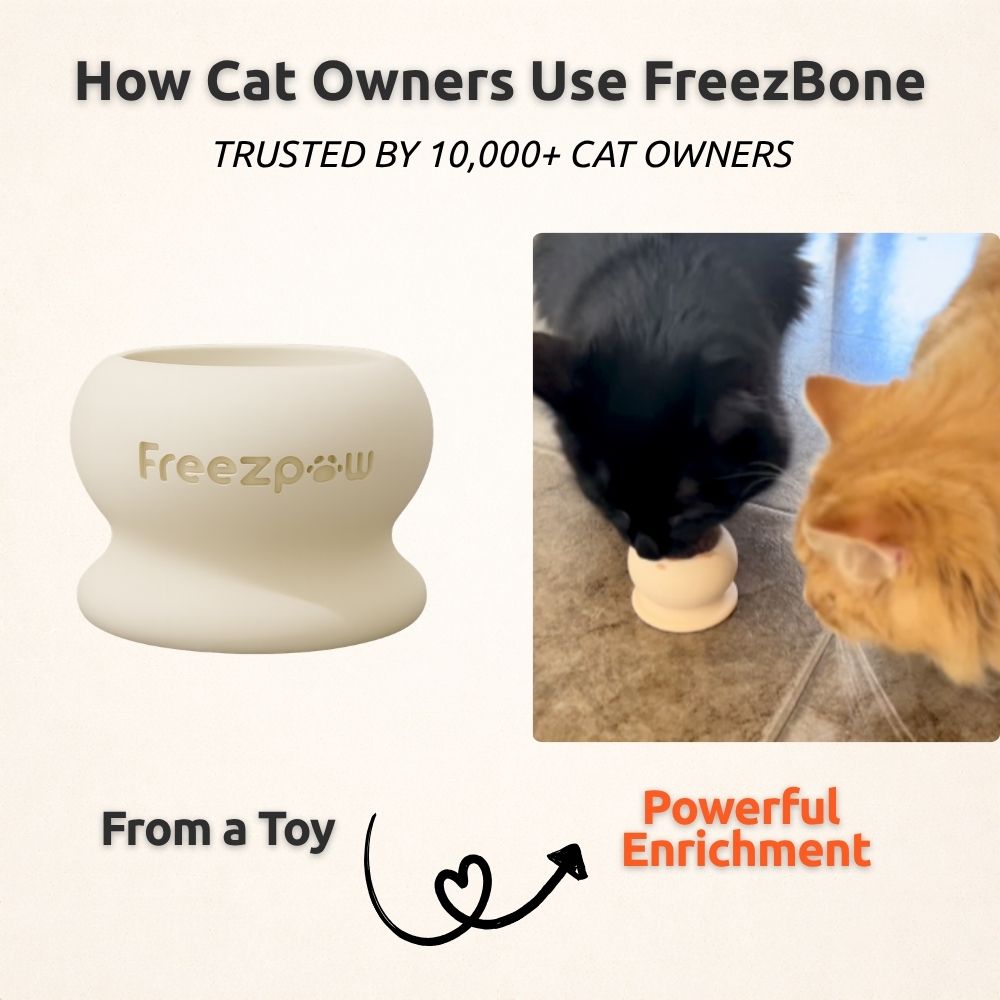AUCTION ONLY - FreezPounce Cat Durable Fillable