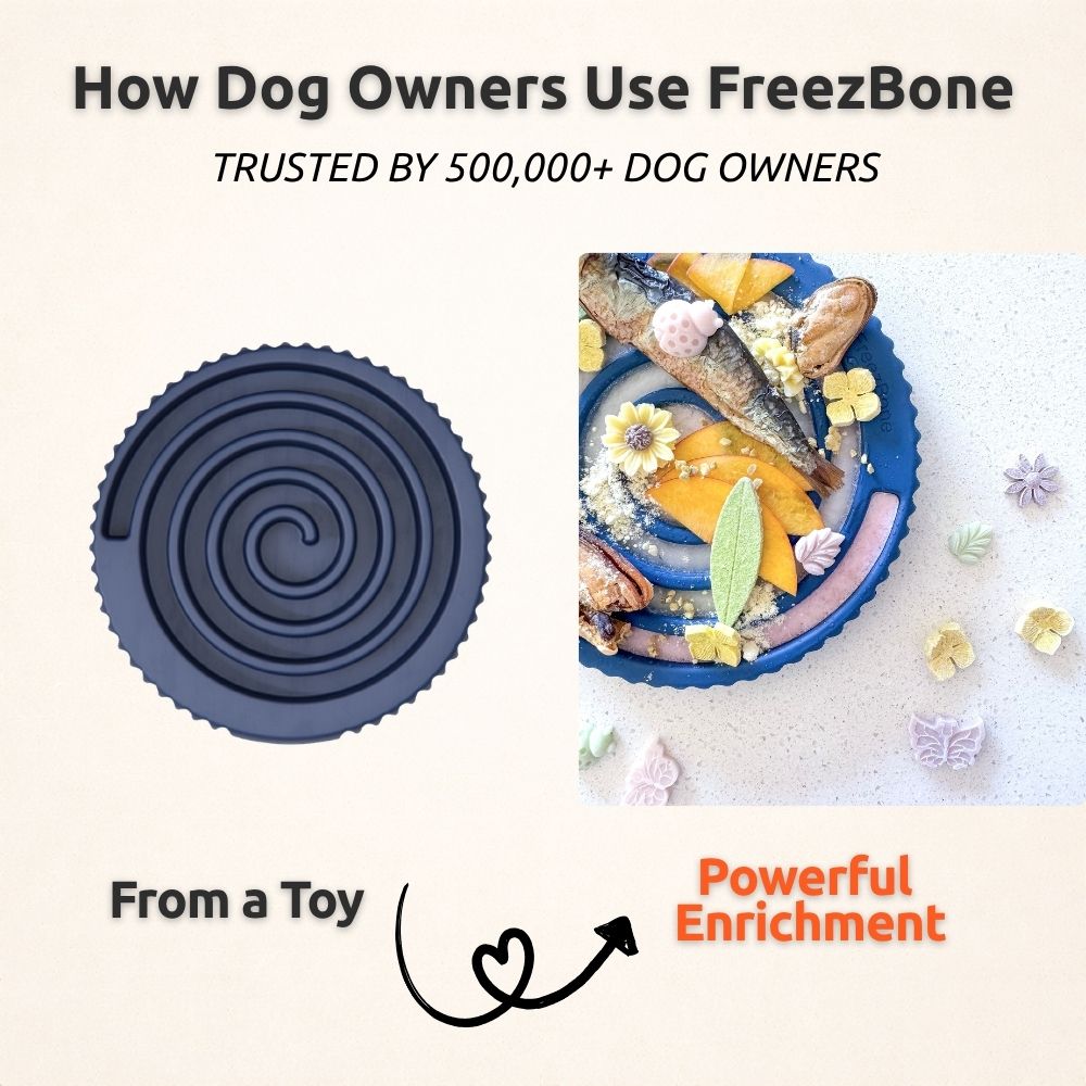 AUCTION ONLY - FreezSwirl - Durable Stimulation Toy