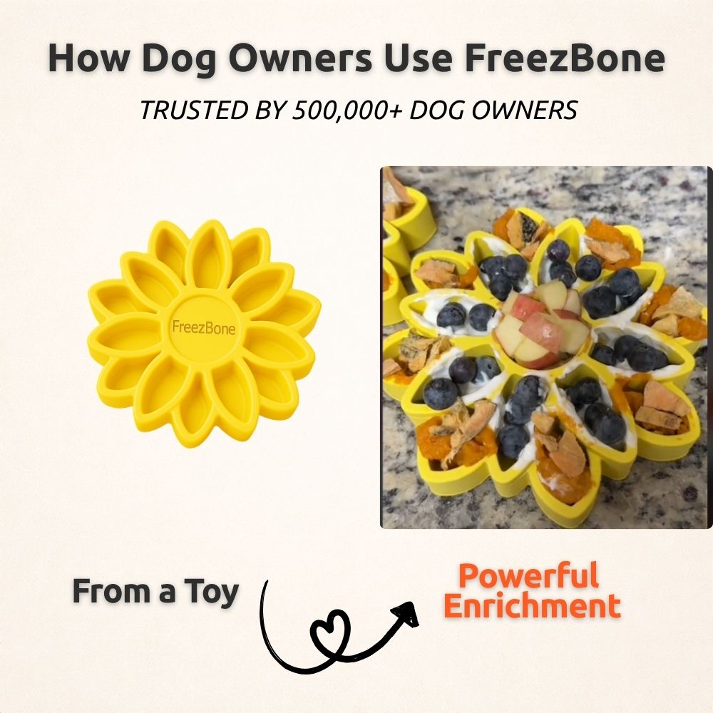 AUCTION ONLY - FreezSunflower - Interactive Frozen Sunflower Dog Chew