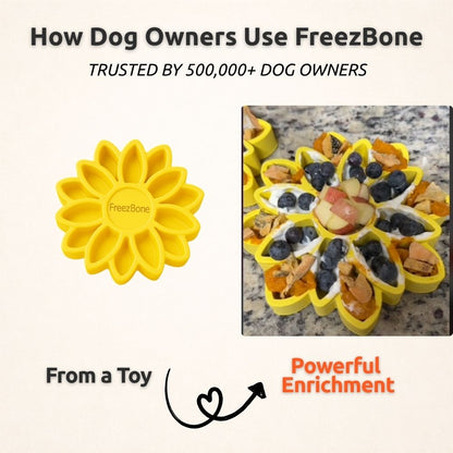 AUCTION ONLY - FreezSunflower - Interactive Frozen Sunflower Dog Chew