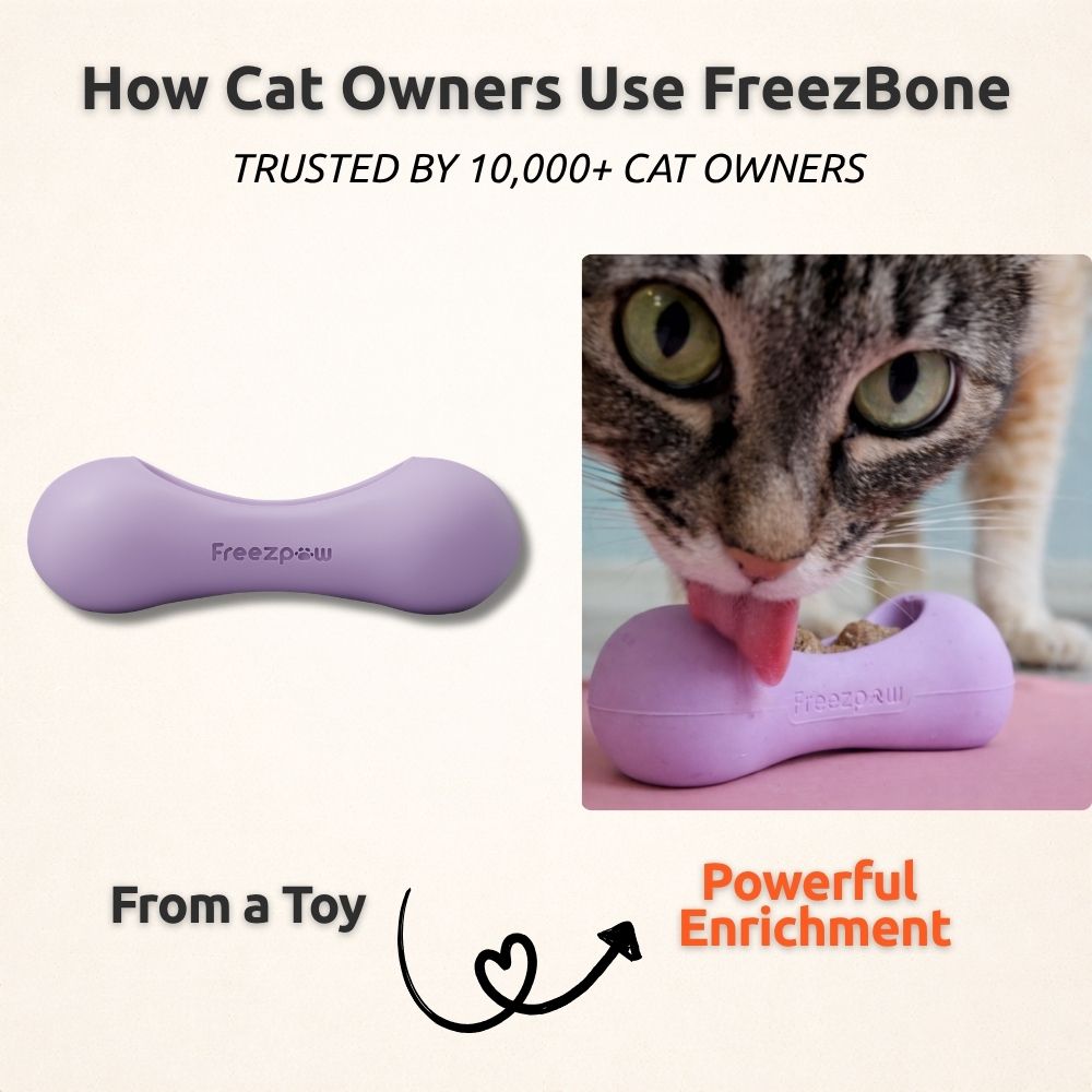 AUCTION ONLY - FreezWhisk Cat Calm Feed Bowl