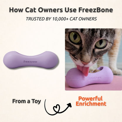 AUCTION ONLY - FreezWhisk Cat Calm Feed Bowl