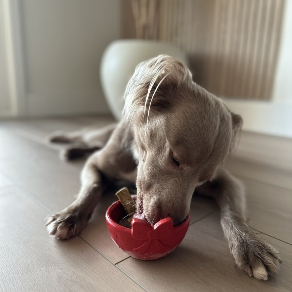 AUCTION ONLY - FreezBow Dog–  Dog Lickable Enrichment Toy
