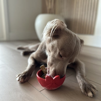 AUCTION ONLY - FreezBow Dog–  Dog Lickable Enrichment Toy