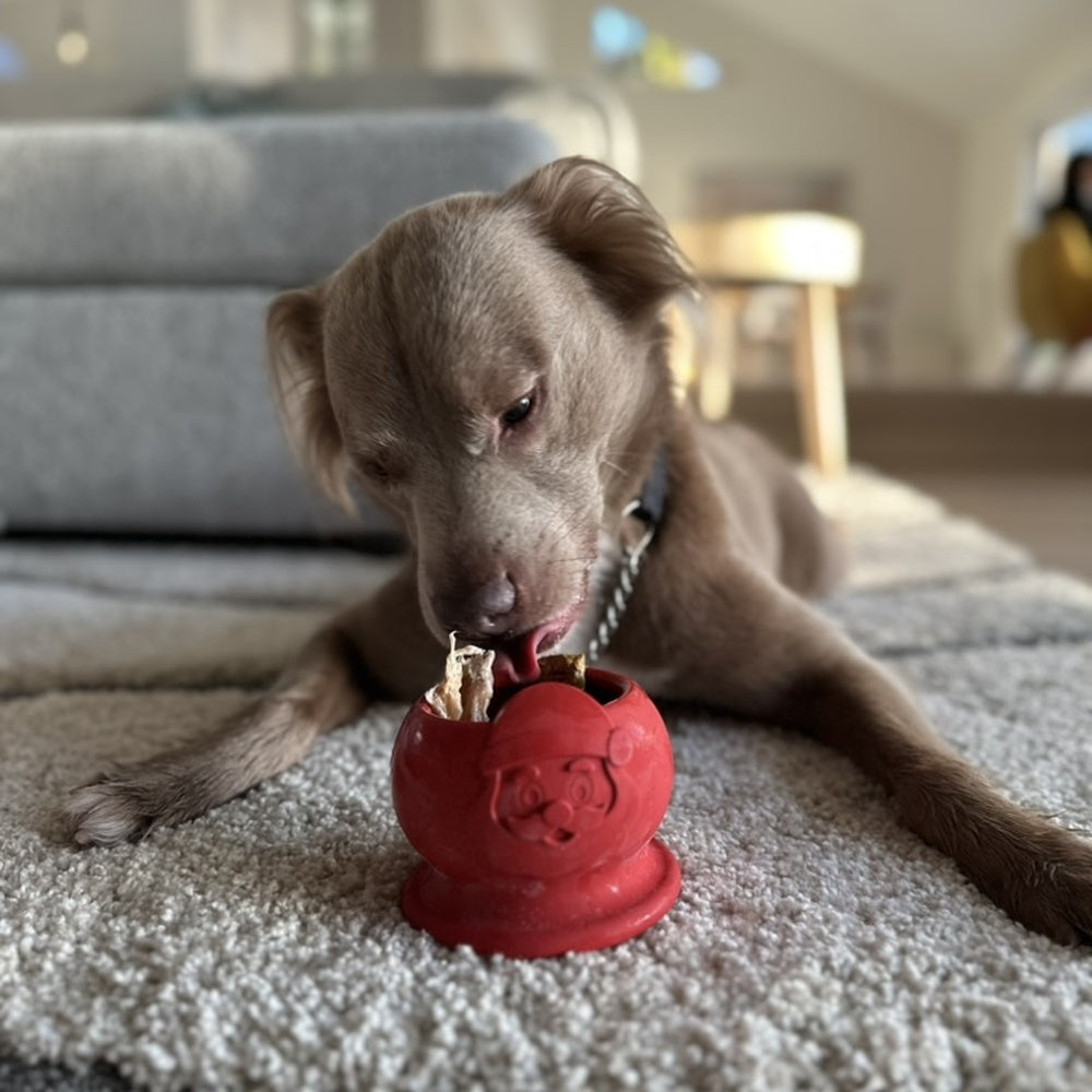 AUCTION ONLY - FreezSanta Dog– Holiday Frozen Santa Chew Toy