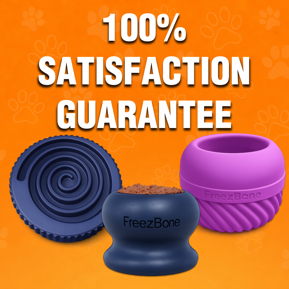 Best Seller Bundle