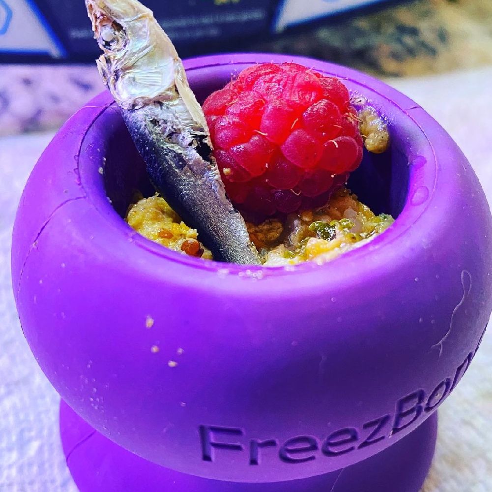 Freezball - Durable Fillable Dog Chew Bone