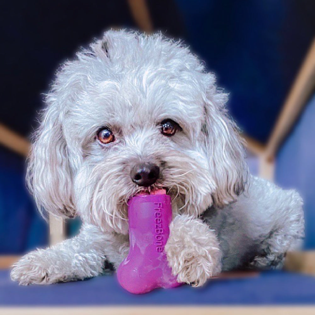 Bone Refills Dog Meat 90 Grams (4 Pack)®