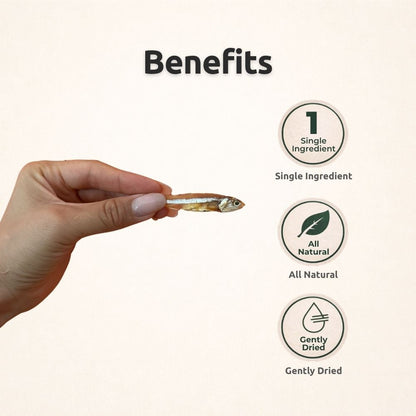 AUCTION ONLY - Freezbone Sprats - 1 single ingredient