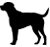 XL